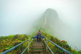 Though it is by far the easiest way up, it still has some sections of near vertical, rope and muddy sections. Haiku Stairs Auf Hawaii Illegal Oder Nicht Urlaubsguru