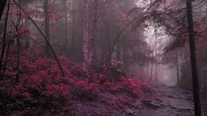 If takes a few seconds to download any background from our site. Wallpaper Atmosphere Drawing Nature Natural Landscape Mystical Forest Background Download Free Image