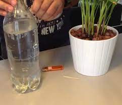 Arrosage goutte a goutte fait maison. Astuce Pour Arroser Les Plantes Creer Un Systeme De Goutte A Goutte Diy