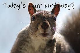 Image result for funny birthday