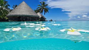 A collection of the top 59 1920x1080 full hd wallpapers and backgrounds available for download for free. Beach Wallpaper Hd Wild Country Fine Arts