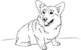 We did not find results for: Cowboy Bebop Ein The Corgi Colouring Image