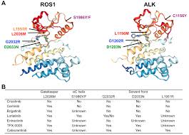 Image result for ROS1 Inhibitor