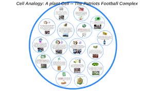 Cell analogy project football team. Cell Analogy A Plant Cell To A Football Complex By Lucas Schwallie