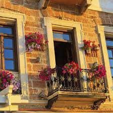 Consejos sobre las plantas que puedes elegir para tu balcón. Plantas Colgantes Para Balcones Actualizado Julio 2021