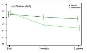 Vous souffrez de bouffées de chaleurs et de suées nocturnes en lien avec la ménopause ? 14 L Acupuncture Medicale Occidentale Dans Les Bouffees De Chaleur Gera