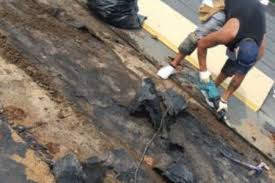 Search for results at searchandshopping.org. Top Commercial Roofing Contractor Chicago Il Geneva Il