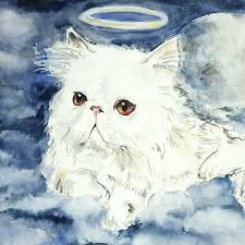 Kedi Babasi Evdekal On Twitter Onlar Usumezler Dogasi Onlarin Bu Kendilerine Isinacak Yer Bulurlar Diyen Herkes Gorsun Kediler Kis Aylarinda 6 Saat Kopeklerse 8 10 Saat Ac Ve Susuz Kalirlarsa Olurler Onlara