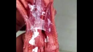 Calcinha melada - Xvideos Xxx - Filmes Porno