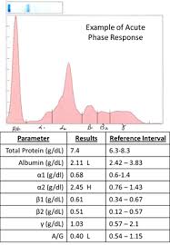 Acute Phase Proteins Eclinpath