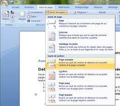 Numéroter les pages dans word se assez facilement. Numerotation Laisser Des Pages Blanches Sans Numero Le Blog De Thebookedition