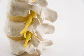 New Phase Iii Stem Cell Study For Treatment Of Back Pain Associated With Degenerative Disc Disease Regmednet