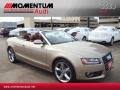 Image result for Aurum Beige 2010 A5