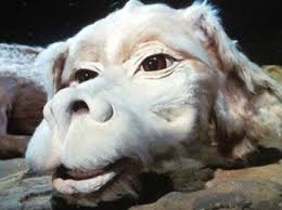 Check spelling or type a new query. La Historia Sin Fin Audio Latino Descargar Peliculas The Neverending Story Neverending Story Movie Ending Story