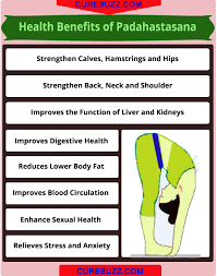 Physically, it provides a deep stretch in the 3rd step of surya namaskar, padahastasana shows the blessing of the sun god. How To Do Padahastasana The Hand Under Foot Pose Steps Health Benefits Getatoz