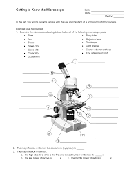 We did not find results for: Getting To Know The Microscope Manualzz