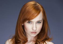 The Lizzie Bennet Diaries