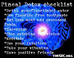 How does fluoride affect your pineal gland? Pin On Free Spirit Vibes