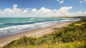 Der umwelt zuliebe ohne chemie und pestizide. Raglan Nya Zeeland Natur Och Aventyr Getyourguide