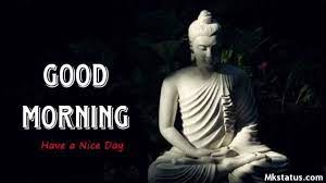We did not find results for: Good Morning Buddha Wishes Images Quotes For Status Dp