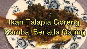 Goreng berlada,cara masak ikan talapia,ikan goreng sambal tumis,ikan masak merah. Ikan Talapia Masak Sambal Berlada Garing Youtube