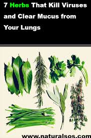 Pin On Health