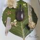 Flora & Fauna – Insect Collage Workshop