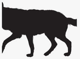 White Wolf Clipart Wolf Silhouette Transparent Background Wolf Silhouettes Free Transparent Clipart Clipartkey Find high quality wolf silhouette clip art, all png clipart images with transparent backgroud can be download for free! white wolf clipart wolf silhouette