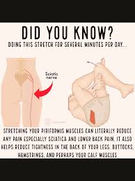 Did You Know Video In 2020 Health Fitness Motivation Piriformis Muscle Fitness Training Plan