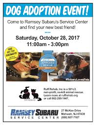 She is now in her forever home. Ramsey Subaru Hosts Ruff Rehab Dog Adoption Event Oct 28 Tapinto