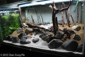 Mossy Square Salah Satu Aquascape Favorit Aquascape Aquatic Garden Aquascape Aquarium