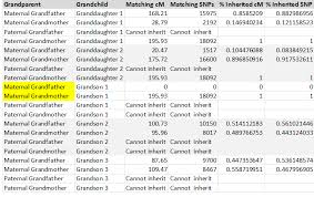 19 Fresh Dna Centimorgans Chart