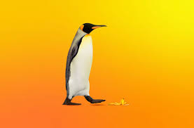 Where Linux is in your home, and how to protect Linux devices from hacking  | Kaspersky official blog