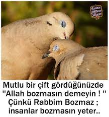 Kadriye Dokuma Adli Kullanicinin Papatyali Gunaydin Cuma Cicekli Video Panosundaki Pin Resim Mutlu Cift