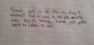 One Of My Favourite Quotes From The Movie Flicka Quotes Favorite Quotes Me Quotes