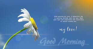 In the calmness of your love, the heart finds its rest. 97 Good Morning Love Messages For Her Best Romantic Love Quotes Dreams Quote