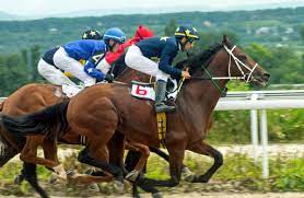 The Jockey Club Releases Data From The Equine Injury Database For 2018 Business Solutions For Equine Practitioners Equimanagement