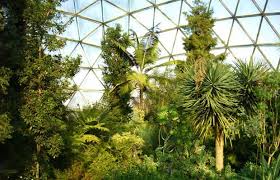 Angelos café restaurant botanischer garten. Pin Auf Dusseldorf