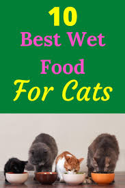 10 Best Wet Food For Cats To Keep Your Pet Healthy Pets Daily Life In 2020 Healthy Pets Cat Food Pet Supplements