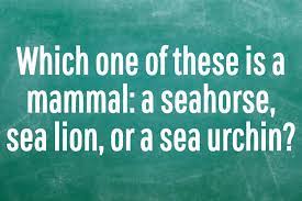 We're about to find out if you know all about greek gods, green eggs and ham, and zach galifianakis. Are You Smarter Than A 5th Grader Quiz