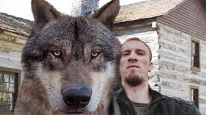That looks probably a canadian timber wolf. 10 Biggest Wolves You Won T Believe Are Real Youtube