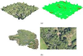 Assessing a novel modelling approach with high resolution UAV imagery for  monitoring health status in priority riparian forests