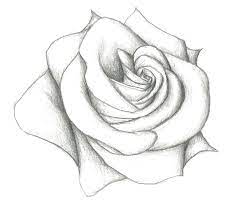 Pencil Drawing Simple Pencil Drawings Pencil Sketches Easy Pencil Drawings Of Flowers Flower Sketches