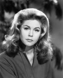 William Asher's Contributions to the Entertainment Industry