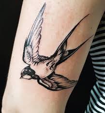 In other cultures, the swallow is a symbol of love and the ocean. 125 Swallow Tattoos Ideas To Show You More Sensitive Side Wild Tattoo Art