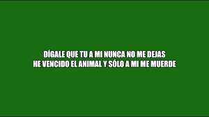 ೫ೋ музыка♫ и цитаты☺ ೫ೋ. Nicole Cherry Mujer Latina Versuri Lyrics Youtube