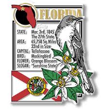 Check spelling or type a new query. Florida State Montage Magnets Ideaman Custom Magnets