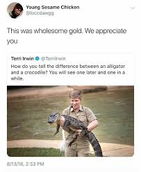 Pin By Mindy Maddox On Wholesome Emotional Stuff Dad Jokes Steve Irwin Haha Funny