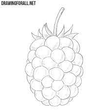 How To Draw A Blackberry