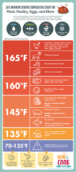 Not everyone in the world owns a grill. Safe Minimum Cooking Temperature Chart For Meat Poultry Eggs And More Infographic Visualistan